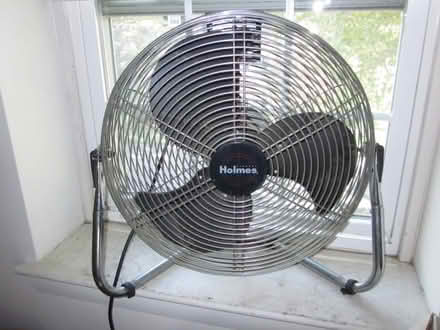 Photo of free fan (Fiorella's Newton by Waltham) #1