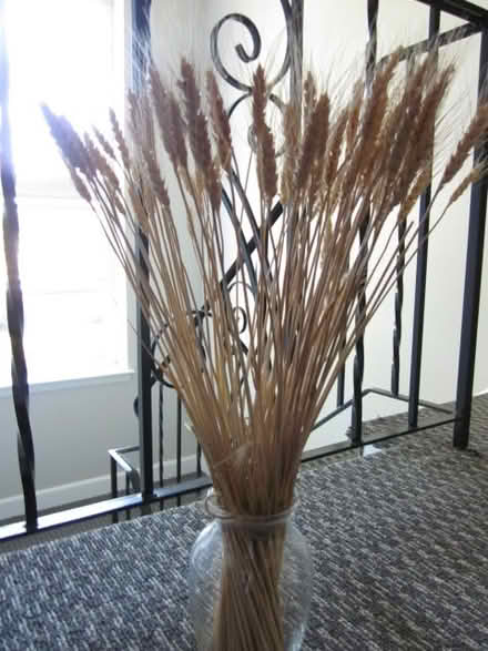 Photo of free vase flowers decorative piece (Newtonville) #1
