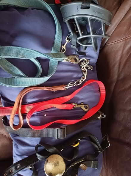 Photo of free Dog leads and baskerville muzzle (Hucknall NG15) #1
