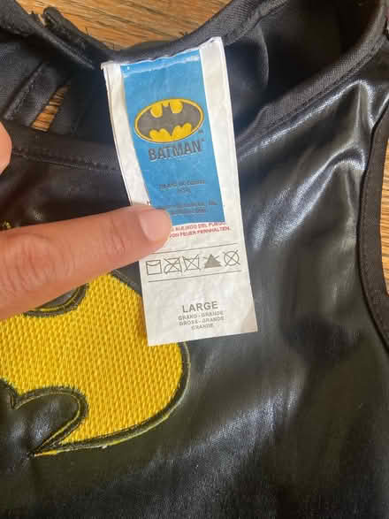 Photo of free Girl costume dress (Berwyn) #2