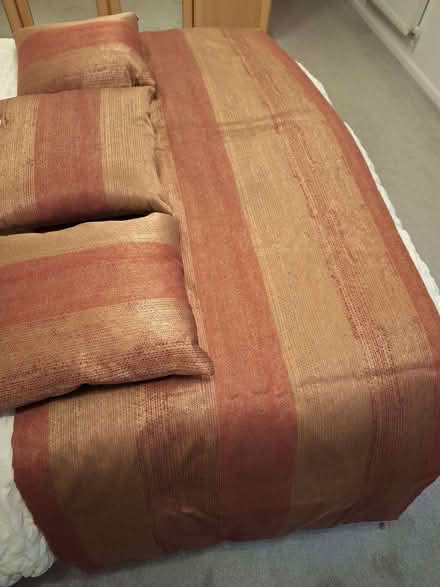 Photo of free Bed throw and cushions (West Common AL5) #1