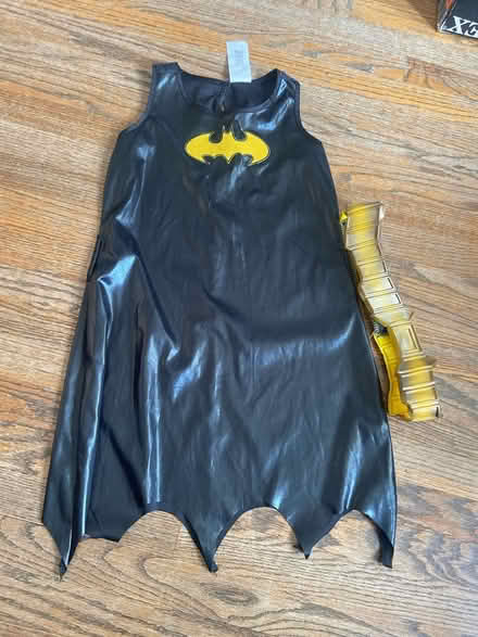 Photo of free Girl costume dress (Berwyn) #1