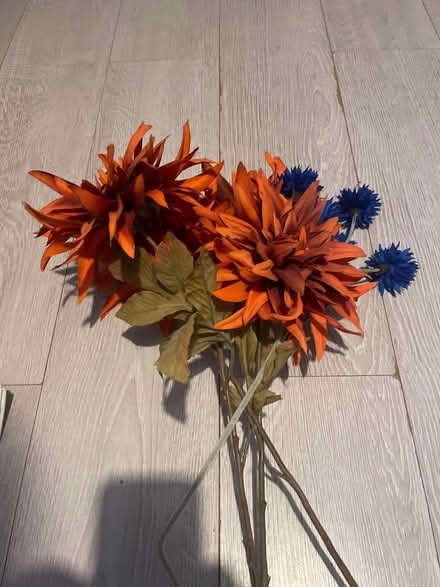 Photo of free Fake flowers (Bracknell’s RG42) #1