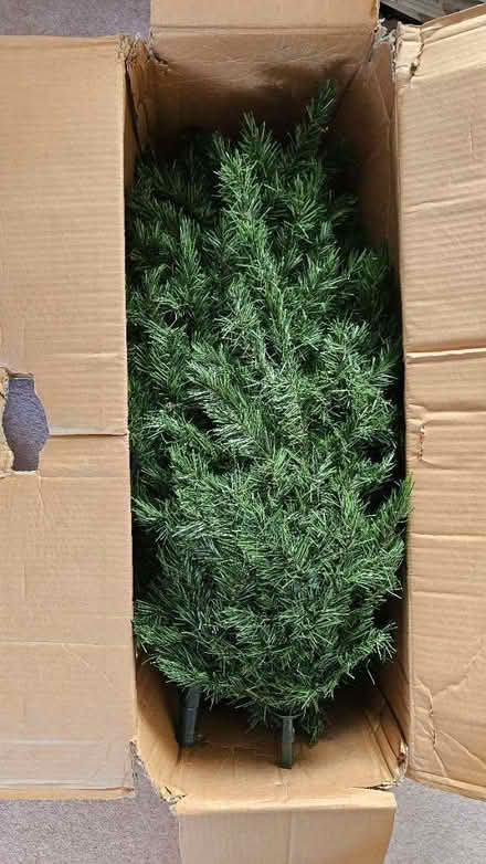 Photo of free Large Christmas Tree (Rooks Nest SG1) #1