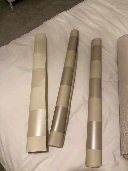 Photo of free Wallpaper (BN12) #1