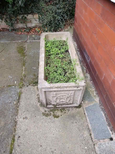Photo of free Rectangular concrete planter (Southport PR9) #1