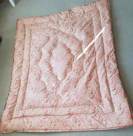 Photo of free Quilt (Eiderdown)- feather-filled (Cameron Toll EH16) #2