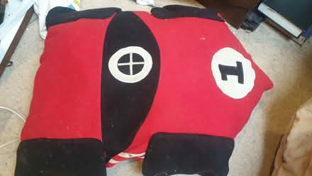 Photo of free F1 pillow (Hove Green BN3) #1