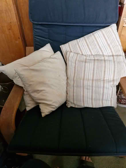 Photo of free 4 cushion pads (Gospel Oak NW5) #1