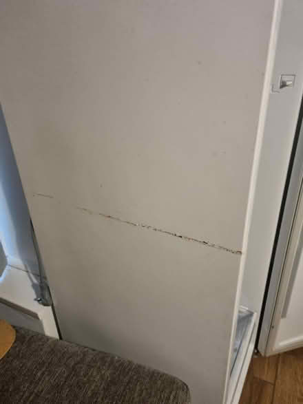 Photo of free Tall fridge (DA2) #3
