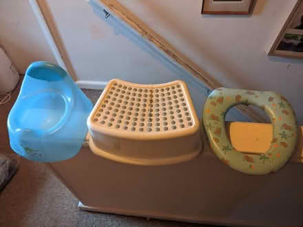 Photo of free Potty, child's toilet seat and step (Hollingdean BN1) #1