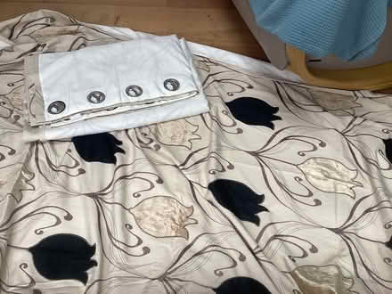 Photo of free Curtains (Anstey Height’s LE4) #1