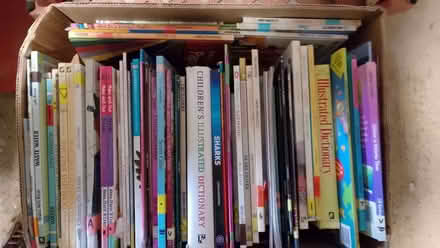 Photo of free Children's non -fiction books (Potters Bar EN6) #1