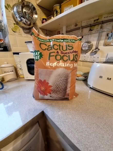 Photo of free 8 litre bag cactus and succulent repotting mix (Epping CM16) #1