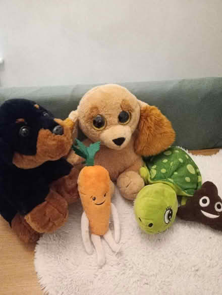 Photo of free Soft toys (Weybridge KT13) #1