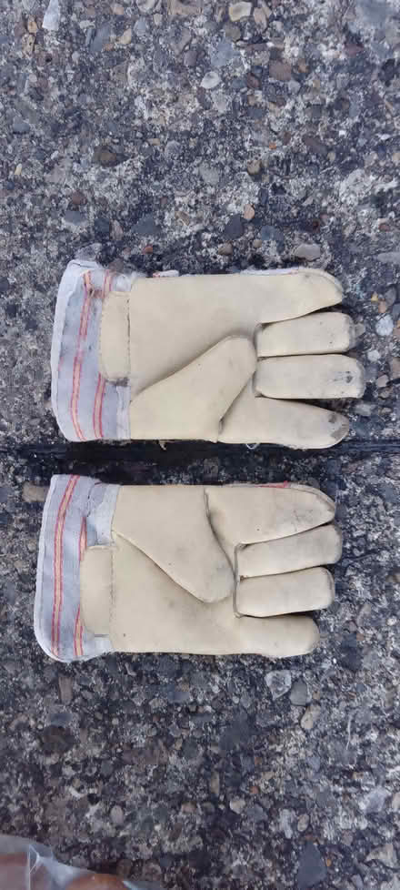 Photo of free Child size gardening gloves (Headingley LS4) #1