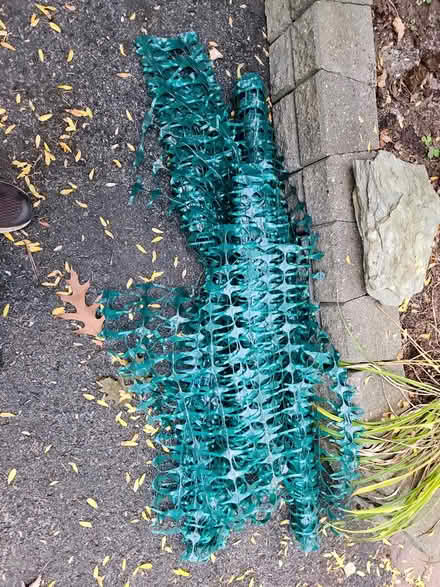 Photo of free Plastic tree and shrub wrap (Baseline and Clyde) #1