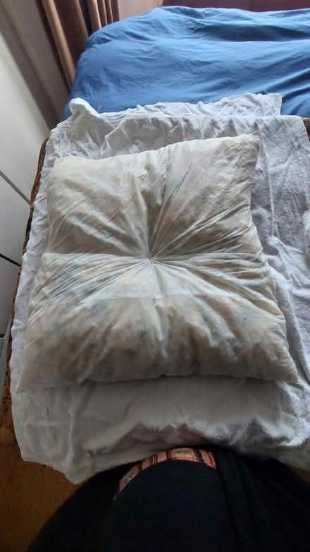 Photo of free Cushion (North Abingdon) #1