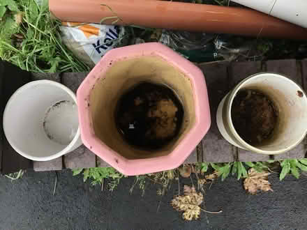 Photo of free 3 plant pots (Henleaze BS9) #2