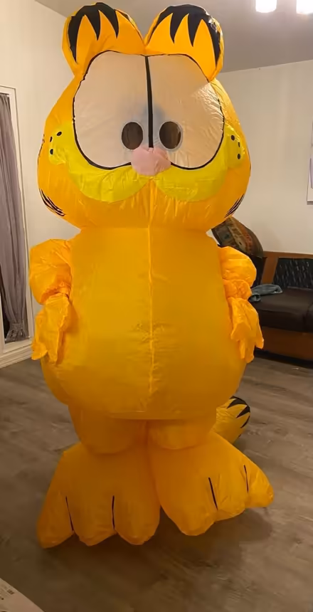 Photo of free Adult Garfield inflatable costume (NE Tucson) #2