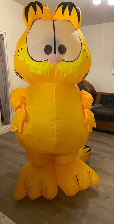 Photo of free Adult Garfield inflatable costume (NE Tucson) #2