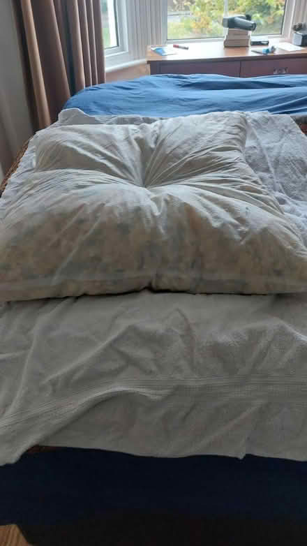 Photo of free Cushion (North Abingdon) #2