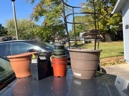 Photo of free Potting containers (Rio and 29) #1