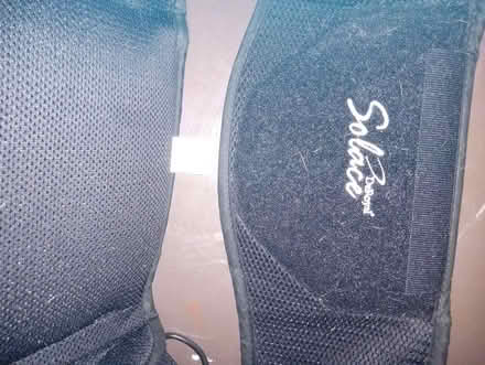 Photo of free Back brace (maple leaf / lake city) #3