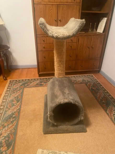 Photo of free Cat Condo/ Scratching post (Randolph Estates) #2