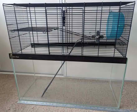 Photo of free Small animal cage and tank (Roade) #1