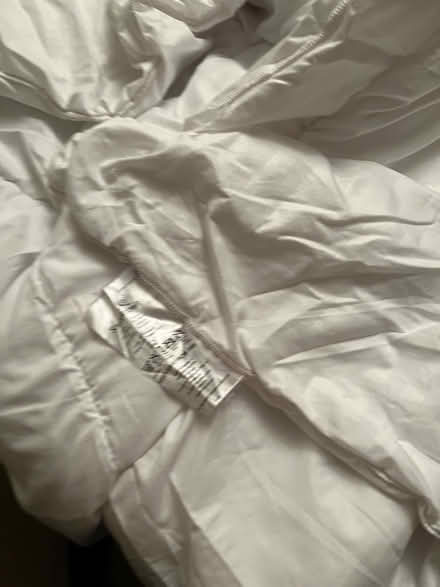 Photo of free 4.5tog snuggledown duvet (Bletchley MK3) #3