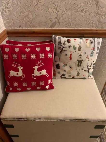 Photo of free Christmas cushions/covers (Oxton CH43) #1