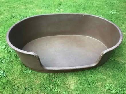 Photo of free Plastic Dog Bed (March PE15) #1