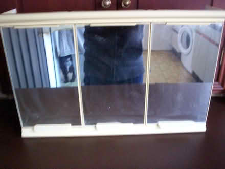 Photo of free Bathroom cabinet 3 door shelves inside (Sprowston NR7) #1