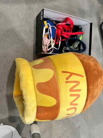 Photo of free dog harness and more pet stuff (near kings academy) #2