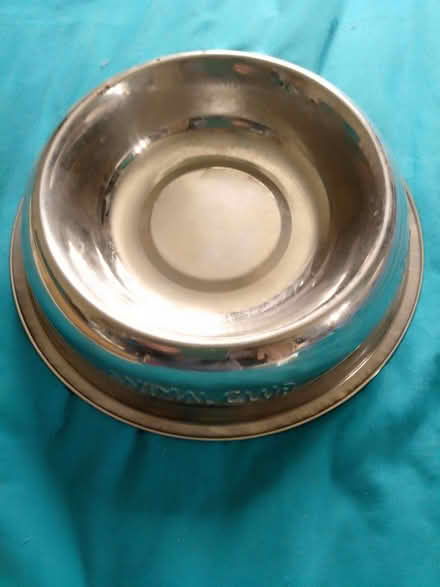 Photo of free Dog feeding bowl, 7" across (Biggleswade) #1