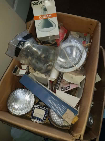 Photo of free bulbs (Friday Bridge PE14) #1