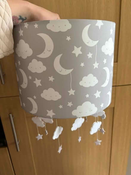 Photo of free Light shades (Parson Cross S5) #3