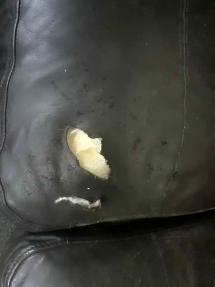 Photo of free 2 seater and 3 seater leather sofas, (Eastbourne BN21) #3