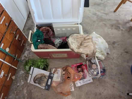 Photo of free Halloween – 20 years’ worth (Near San Rafael H.S.) #2