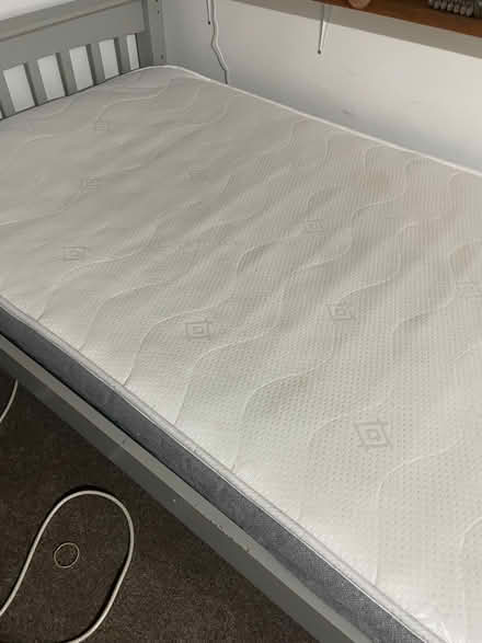 Photo of free Single bed and mattress (Bowerham LA1) #2