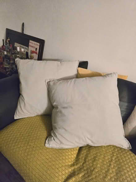 Photo of free 2 Large couch pillows (Flitwick) #1
