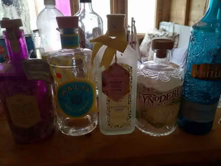 Photo of free Empty gin bottles if anyone can use them before I in (Carnforth LA5) #1