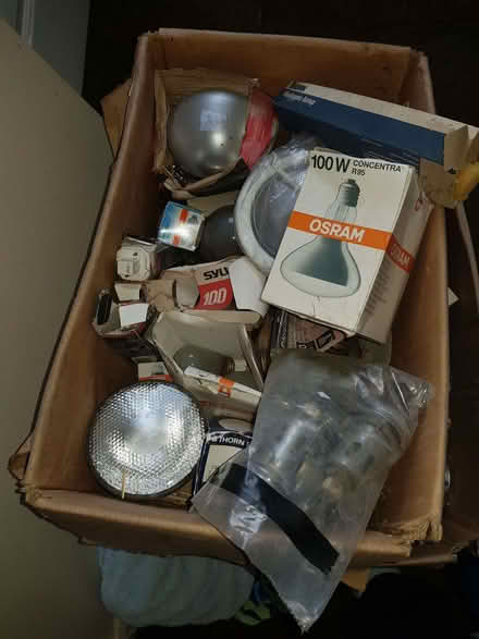 Photo of free bulbs (Friday Bridge PE14) #2