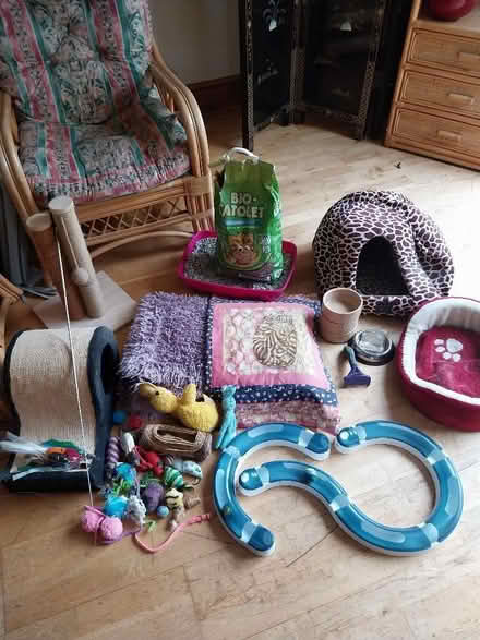 Photo of free Cat scratchers, toys, beds etc. (Hoole CH2) #1
