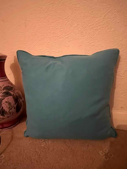 Photo of free Bird cushion with teal reverse (Copley Hill WF17) #2