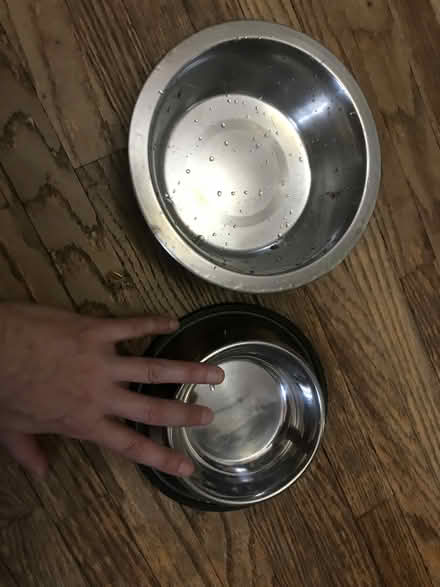 Photo of free pet water and food dishes (Bloorcourt Village) #1