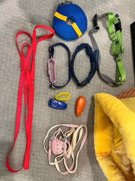 Photo of free dog harness and more pet stuff (near kings academy) #1