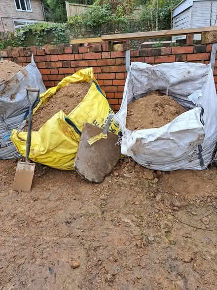 Photo of free Soil (chard) #1