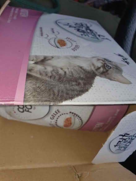 Photo of free Cat /kitten food (Stroud GL5) #1